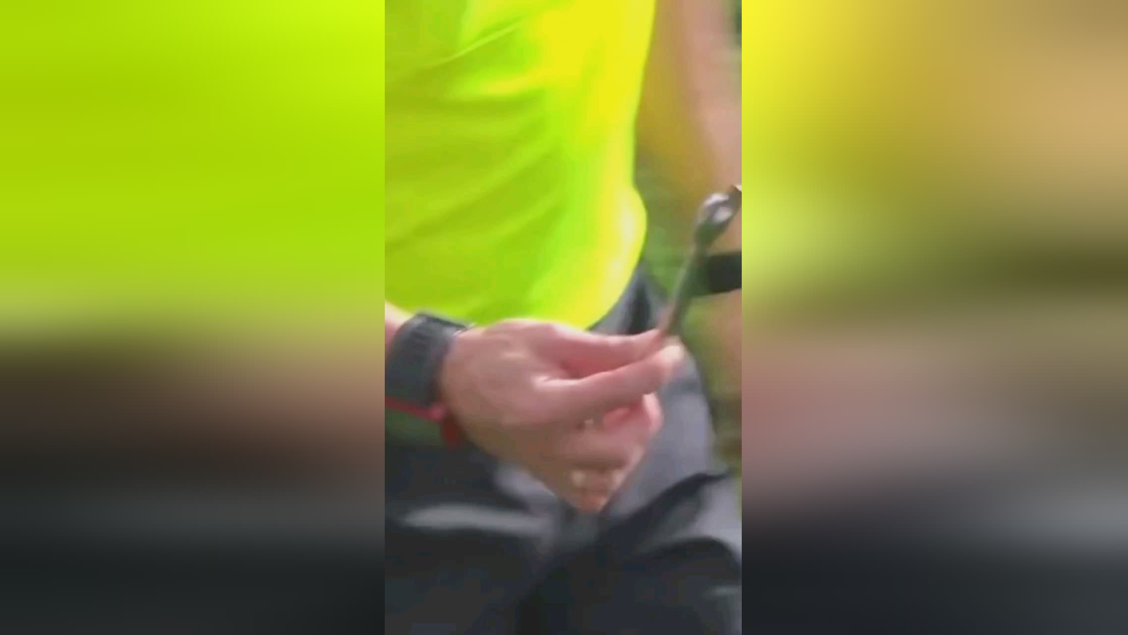 补但实际上